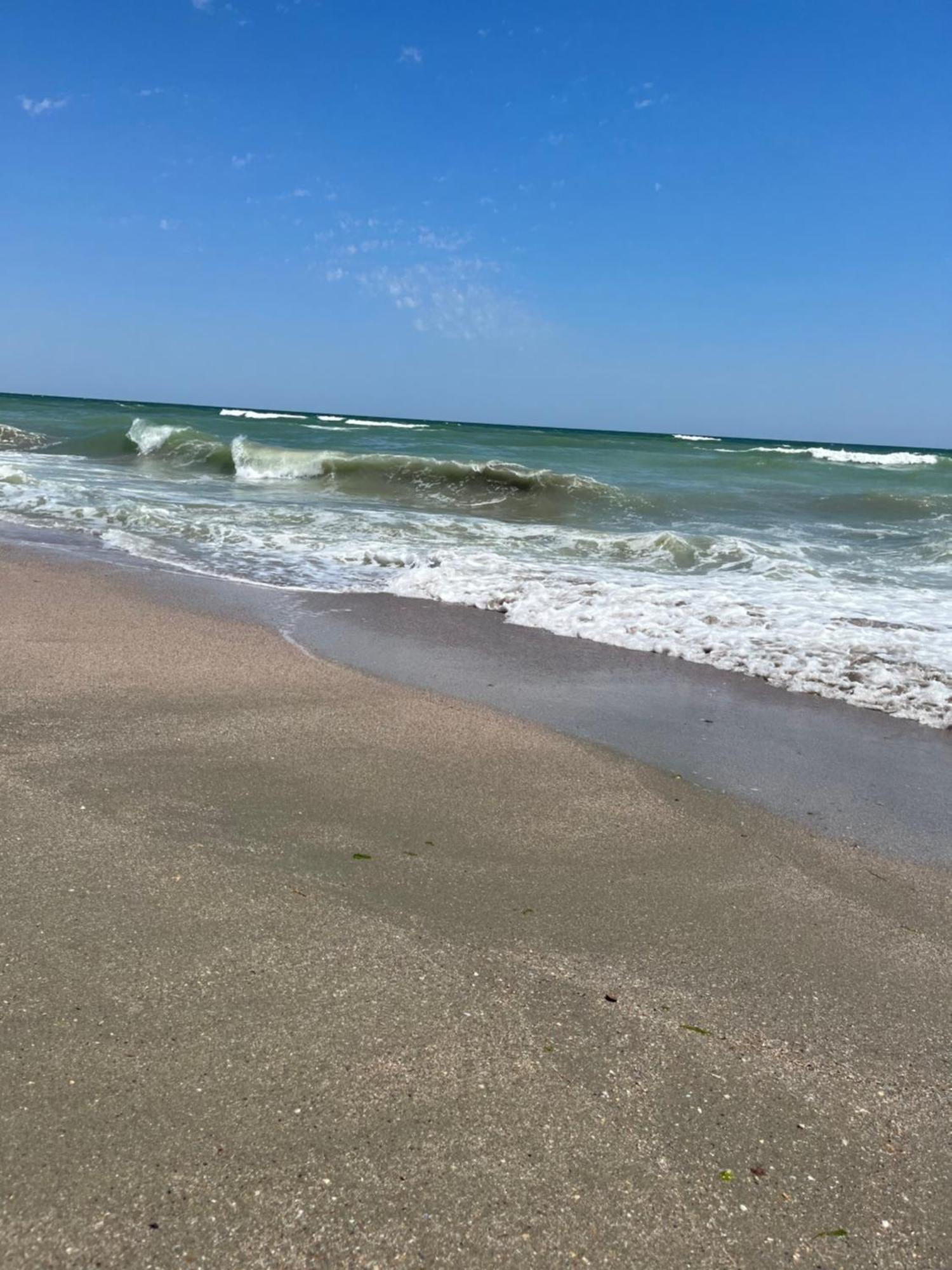 Fratellyvibe Mamaia Leilighet Eksteriør bilde